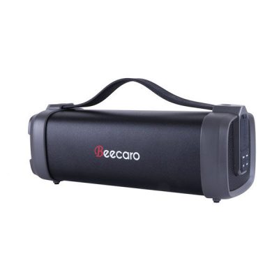 اسپیکر بیکارو F52