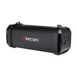 اسپیکر بیکارو F41B