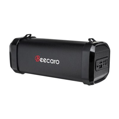 اسپیکر بیکارو F41B