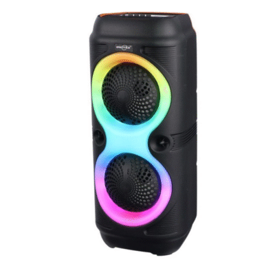 اسپیکر گریت نایس GTS2131